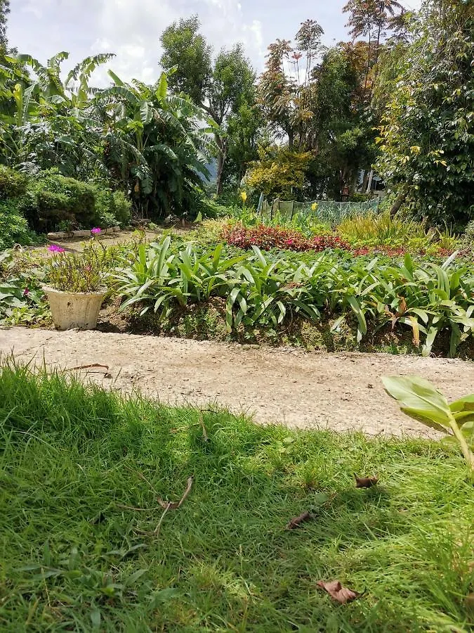 The Galways Edge Homestay Nuwara Eliya