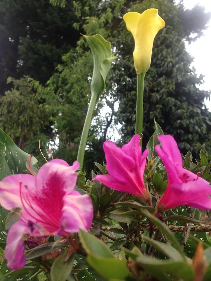 The Galways Edge Homestay Nuwara Eliya