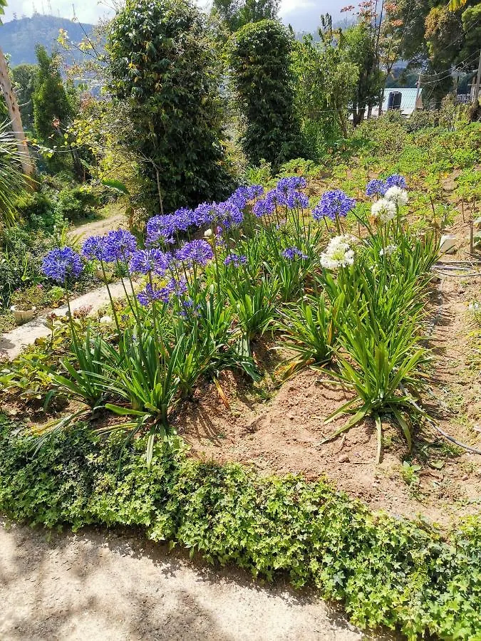 The Galways Edge Homestay Nuwara Eliya